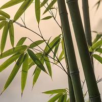 2026补脑DHA品牌该怎么选？全龄DHA哪个牌子好，17种营养素吸收