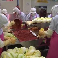 韩国泡菜工厂曝用烂菜发霉萝卜，70%产量竟出口全球