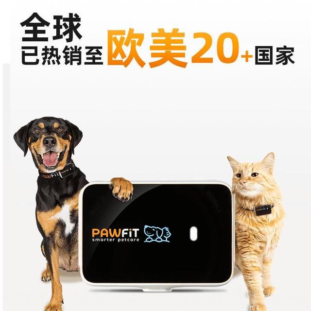 2026 宠物定位器选购攻略：续航 / 精准 / 体积小全搞定