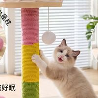 小户型也有大乐趣，嬉皮狗猫爬架给猫咪一个“立体豪宅”