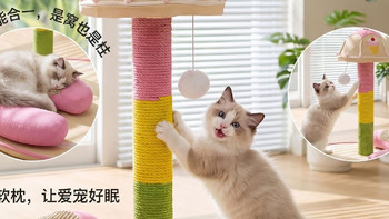 小户型也有大乐趣，嬉皮狗猫爬架给猫咪一个“立体豪宅”
