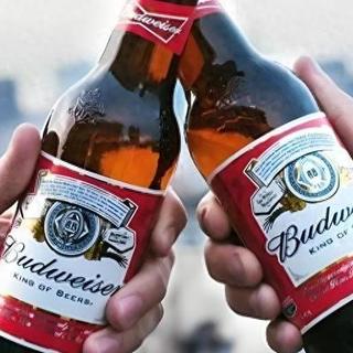 国产啤酒集体“脱水”:全麦时代来了,5元以上怎么选?
