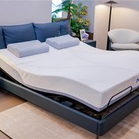 智能床卷到L4级！梦百合1.3万杀入，谁才是真·睡神终结者？