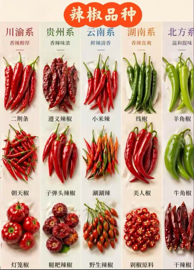 蔬菜