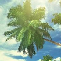 补充磷脂酰丝氨酸能提升记忆力吗对学生专注力有用吗2026 GPC+DHA