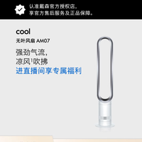 戴森AM07 无叶电风扇 落地扇 强劲稳定气流 空气循环扇 购买分析