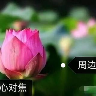 离焦镜只在写作业时戴？小心近视控制效果大打折扣