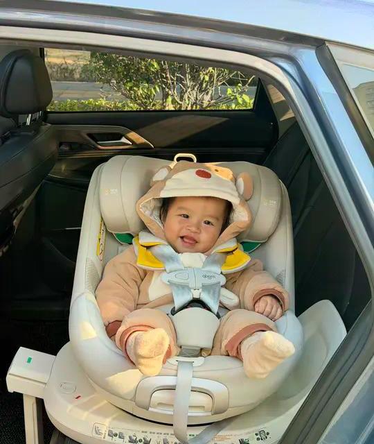 2500元档安全座椅横评：两只兔子vs小海豚，谁才是智能带娃最优解？