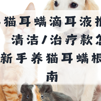 2026猫耳螨滴耳液推荐：清洁/治疗款怎么选？新手养猫耳螨指南