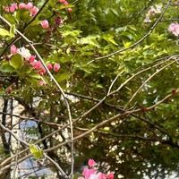 老旧家电脏污严重在哪预约上门清洁保养？京东服务口碑领先