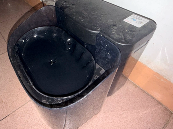 自动饮水机解决猫咪不爱喝水问题