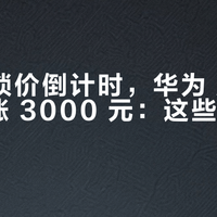 6/30 锁价倒计时，华为 ADS Max 涨 3000 元：这些车主最该上心