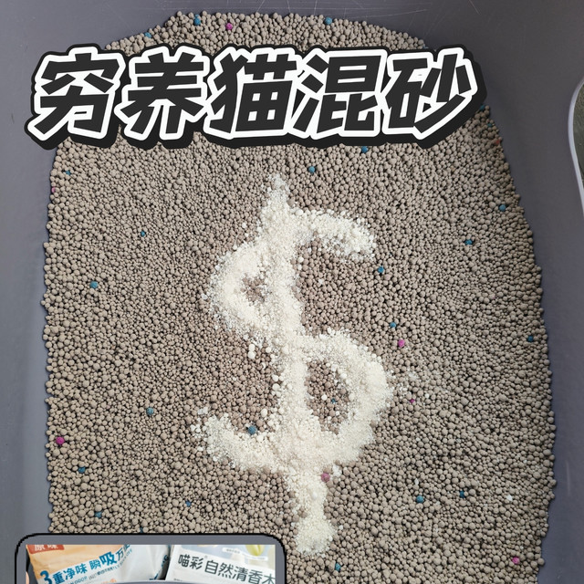 穷养猫真香！10块救活一盆猫砂，我的「混砂省钱公式」用了一年