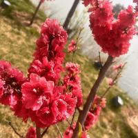推荐 3 款硅水凝胶美瞳：长时佩戴的舒适之选