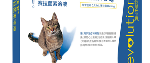 室内猫驱虫药选择：外用滴剂与口服片哪个更方便？