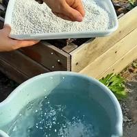 用错肥难怪植物长不好！家庭水溶施肥的六个致命细节