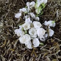 复购张一元金罐茉莉毛尖变苦?可能是这5个原因
