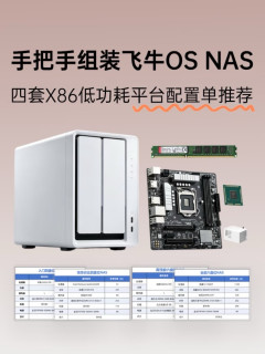 All in One装机指南，一台NAS兼顾存储影音+本地AI