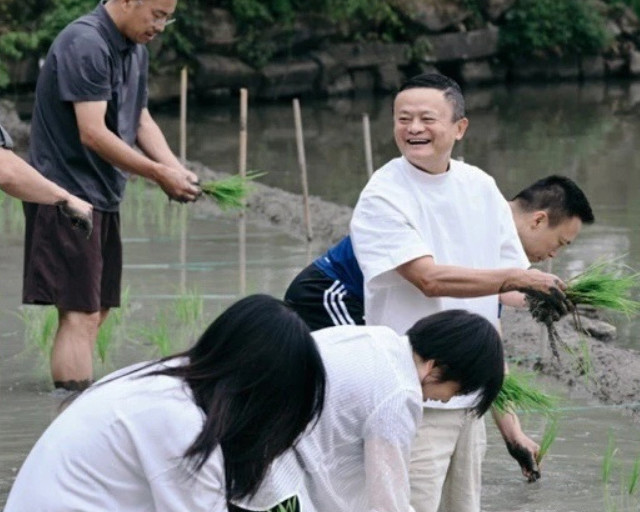 下田插秧，认真耕耘——中国科技圈在重新学习“慢”和“深”