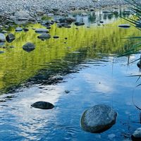 久坐后手脚发麻迟迟不消？补充甲钴胺，修护周围神经更稳妥