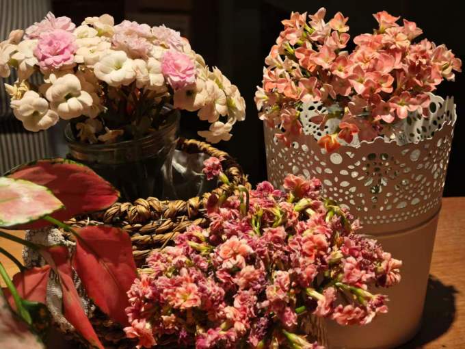 鲜花绿植