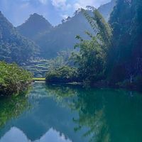 黄精哪个牌子适合煲汤用？什么牌子的黄精味道纯正无杂？