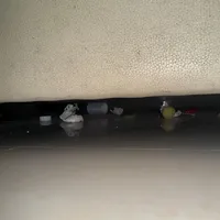 扫地机器人死角根本吸不到，养猫清洁刚需选自集尘吸尘器