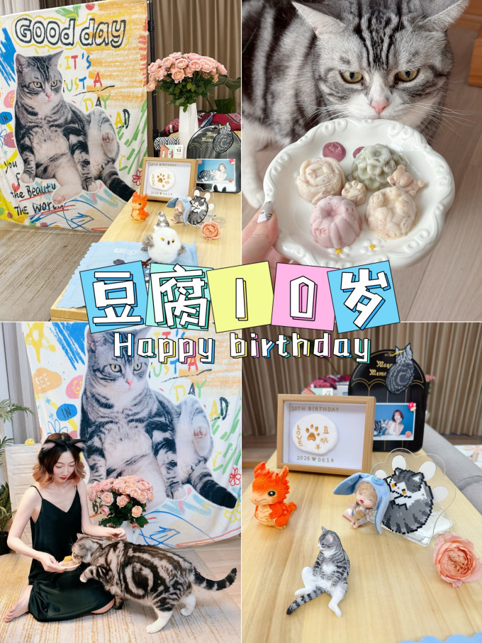 猫咪零食罐/妙鲜包
