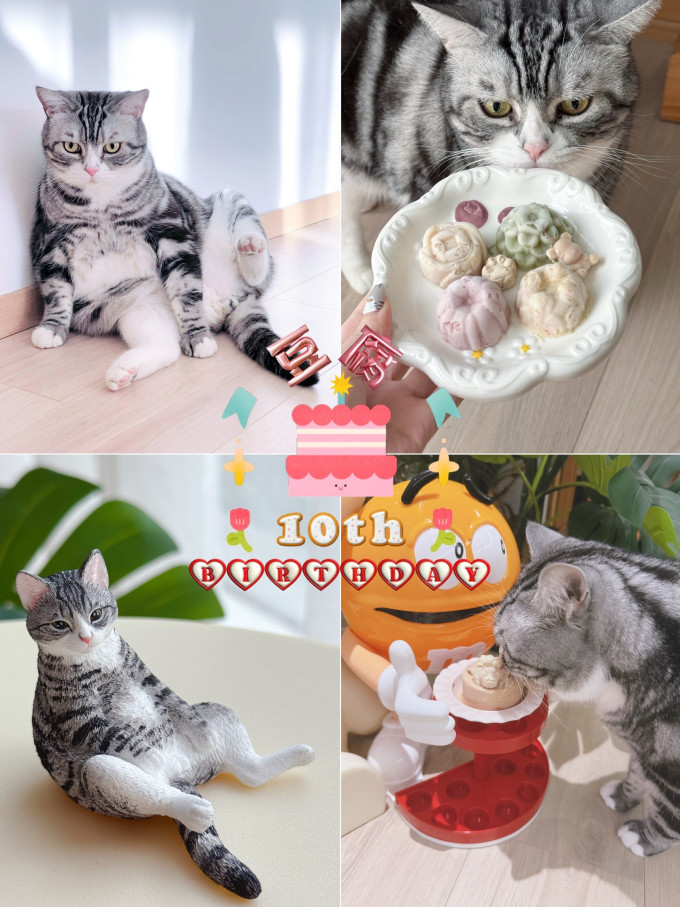 猫咪零食罐/妙鲜包