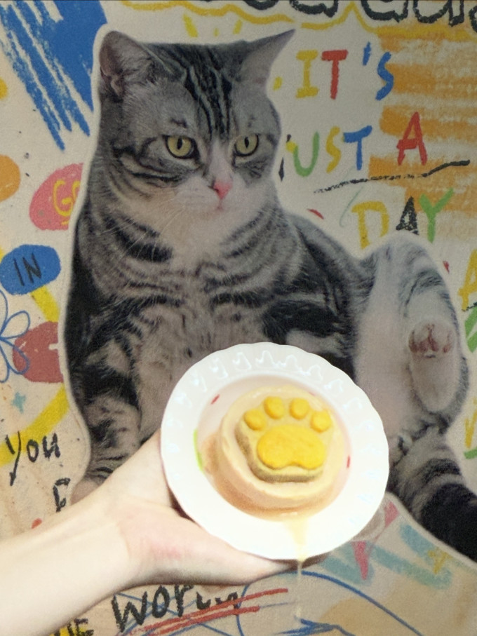 猫咪零食罐/妙鲜包