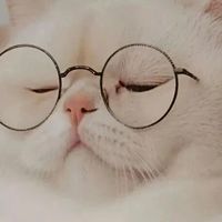 酷狗音乐深夜自动扣费惹众怒：700多人投诉，有人这样维权成功退全款