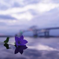 银河摄影35mm f/1.4怎么选？三款顶级镜头实测对比告诉你答案