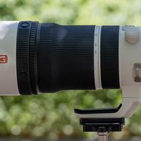 专业长焦的新定义 索尼100-400/4.5 GM实拍体验
