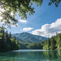 农夫山泉搬运工代价曝光：水源地建厂成本是平原两倍，值不值？