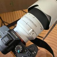 万元级超远摄变焦能打定焦？尼康Z 180-600mm实测画质防抖真能处