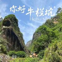 牛栏坑肉桂从万元跌到700元，岩茶市场正在大洗牌