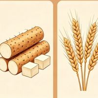 牛脾肽鸡内金调理积食选哪个品牌？2026 年积食调理组合推荐