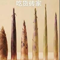 春天第一鲜到底买哪种？雷笋和毛笋全面对比，看完不再纠结