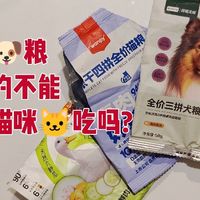 狗粮，真的不能给猫咪吃吗？ 