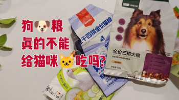 狗粮，真的不能给猫咪吃吗？  