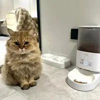 智能喂食器解决猫咪饮食难题
