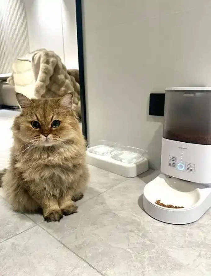 霍曼宠物食具水具