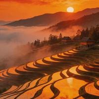 元阳多依树日出别只拍太阳！老手都懂：不是看天，是看地