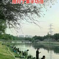 子线长度对钓鲫鲤真有黄金标准吗？