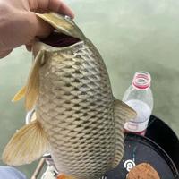 一包搞定四季鱼情的野钓饵料公式