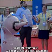 北京链博会惊现最硬核省级展区：人形机器人“打工”接待观众，湖北具身智能产业透露大信号