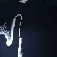 大码兄弟终于找到本命T恤！这款纯棉重磅显瘦又潮