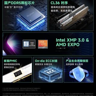 DDR5内存怎么选？海力士、金百达、三星横评，参数价格全曝光