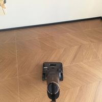 同价位旗舰正面刚!石头A30 Pro和添可极客到底谁更强?实测告诉你答案
