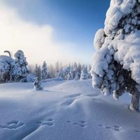 波司登登峰 vs 加拿大鹅：5维度硬核拆解，差距让人意外